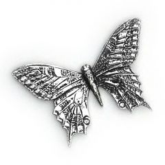 Badge swallowtail butterfly