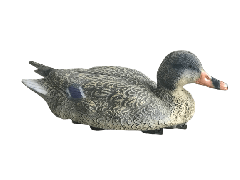 Duck Decoy Mallard, Female